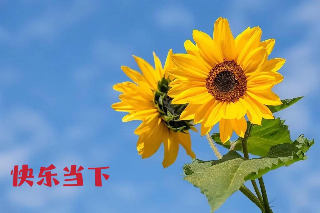 文章附图